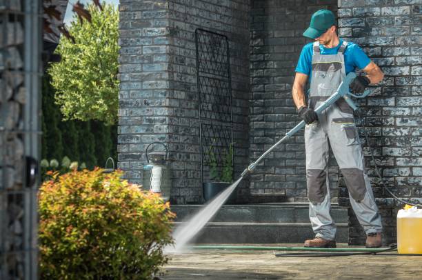 Animal Enclosure Cleaning in Greensboro, AL