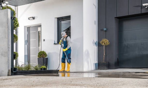 Best Concrete Sealing  in Greensboro, AL
